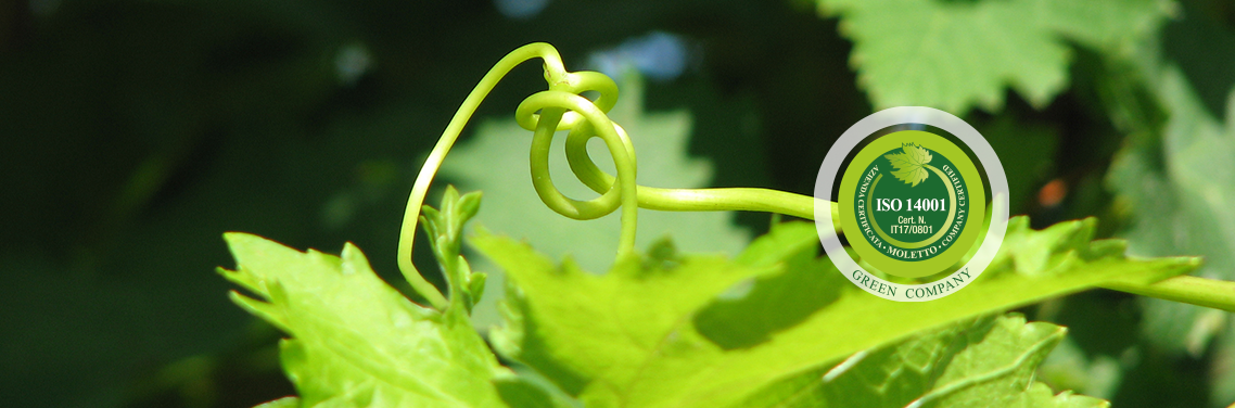 Green Company